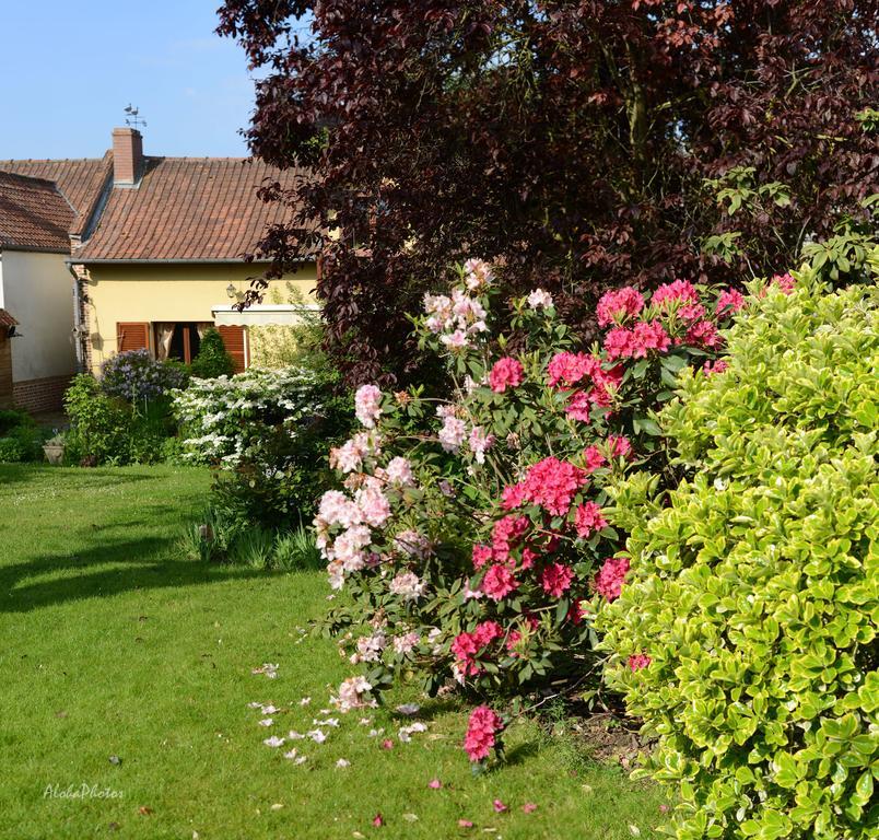 Gite Des Hortillonnages Camon  Экстерьер фото