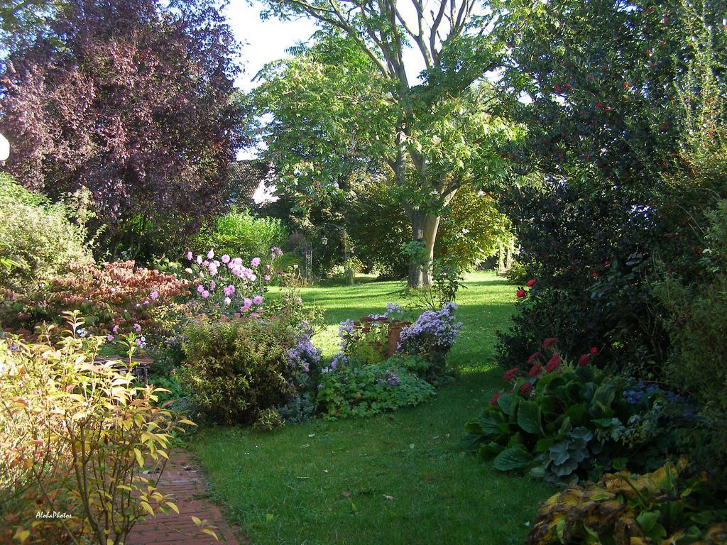 Gite Des Hortillonnages Camon  Экстерьер фото